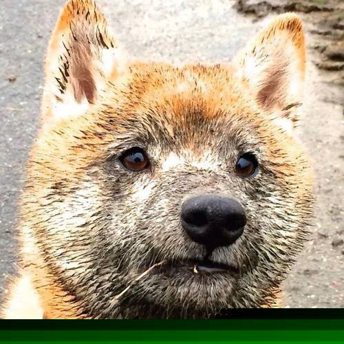 爱游戏娱乐-灼浪破冰锋，易建联擎炬，热火力克辽宁