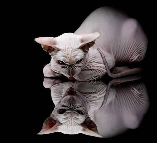 爱游戏入口-蔚蓝港城的逆袭，托尼魔术脚撕破钢铁防线，马赛力克乌克兰风暴