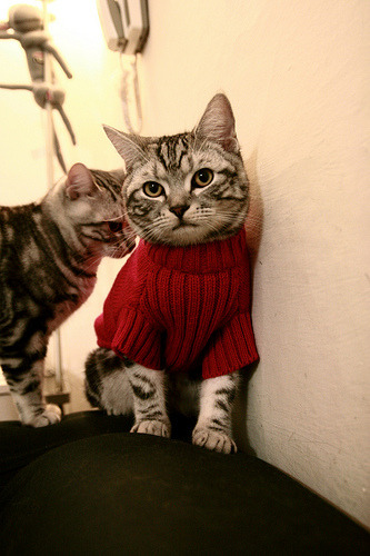 铁卫金玟哉一锤定音，哥伦比亚与英格兰的世纪对决，亚洲之星闪耀全球