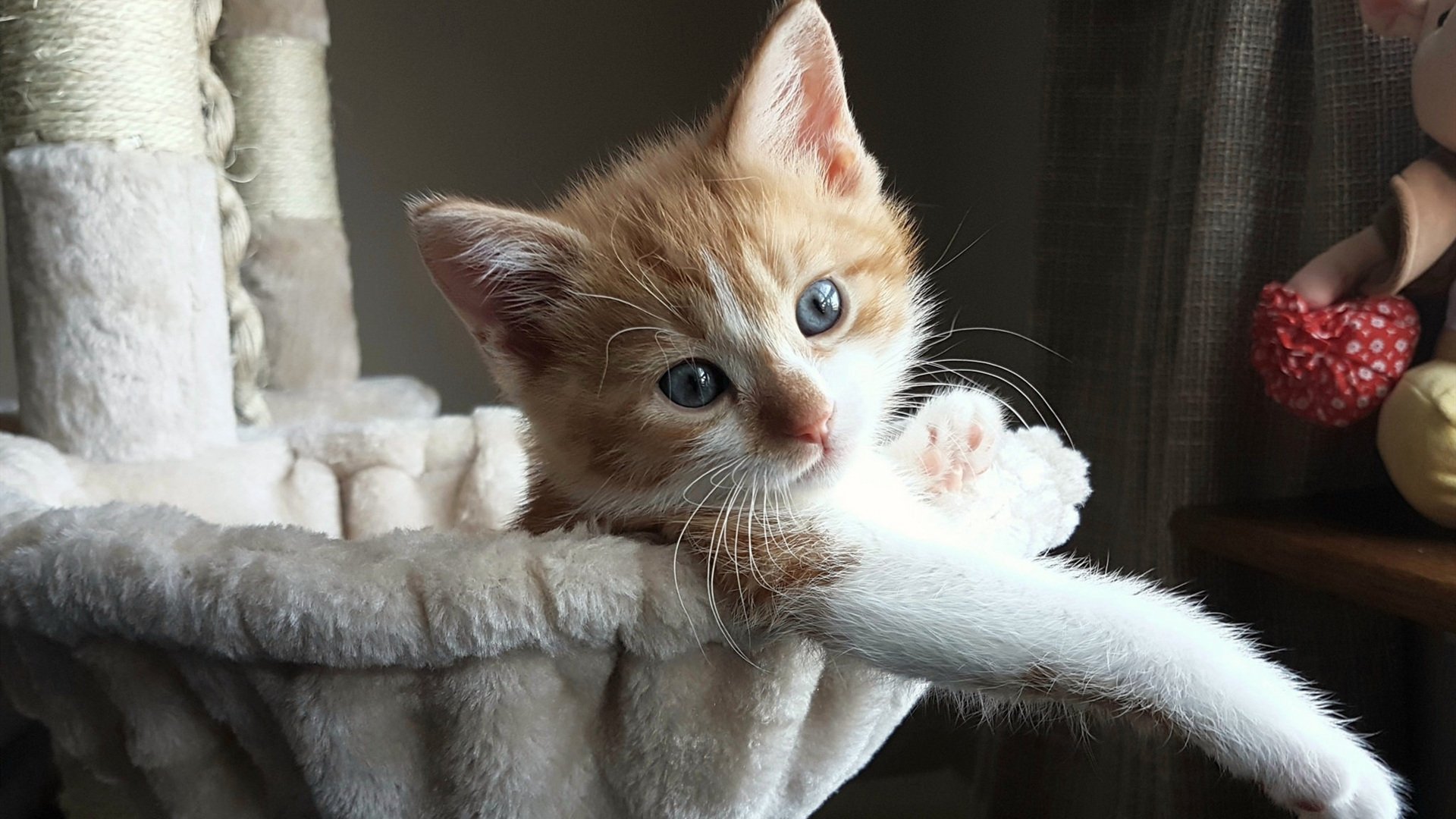 龙虎斗！枪手决胜局带走韩国，内马尔临危受命化身终极大杀器