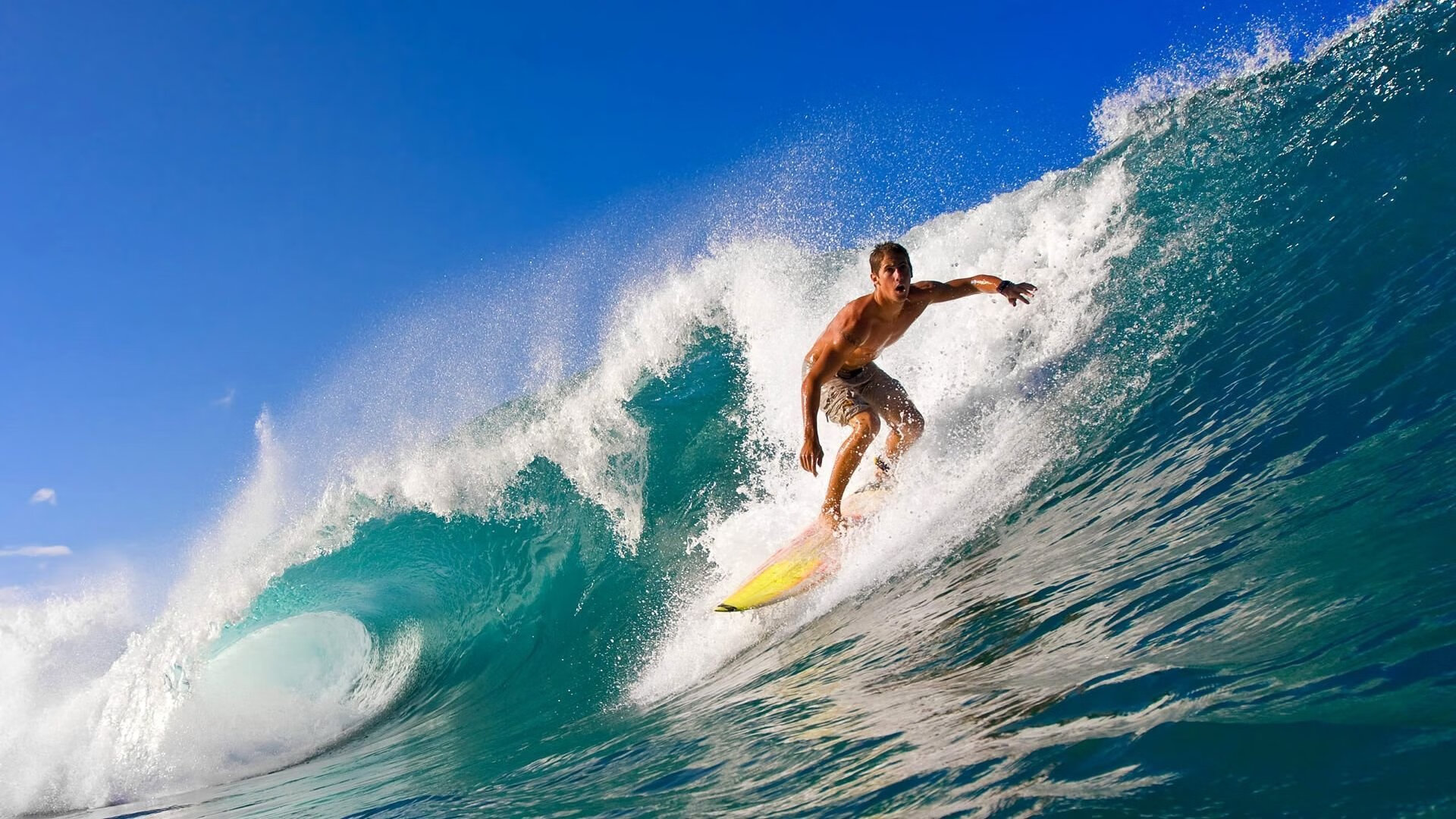 当圣城银黑遇上紫金王朝，锡安用实力证明，真正的风暴无需翻译