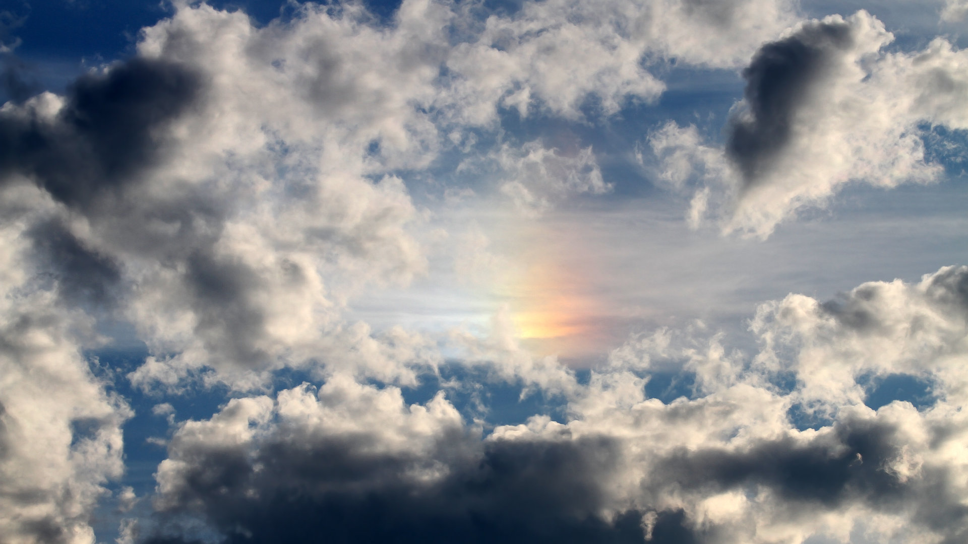 当圣城银黑遇上紫金王朝，锡安用实力证明，真正的风暴无需翻译