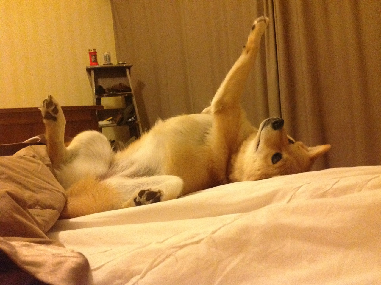 爱游戏官网-2026世界杯之夜，阿尔瓦雷斯，关键时刻的雕塑家