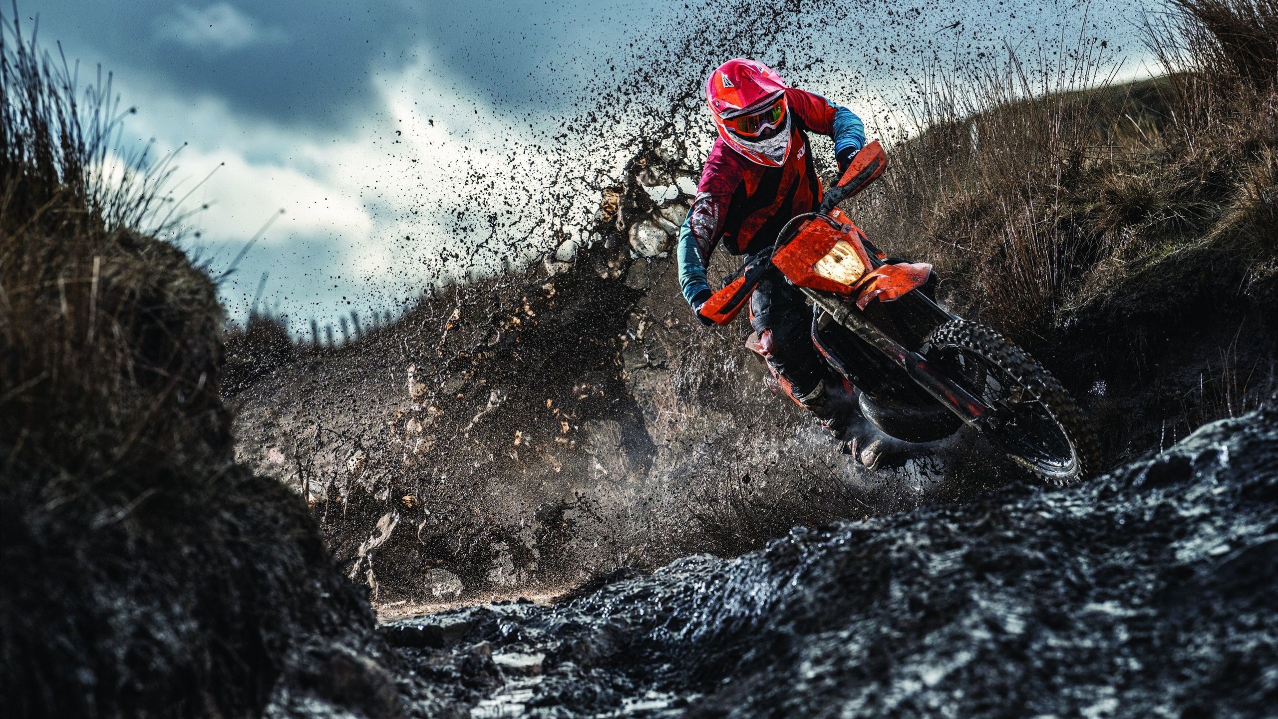 飓风眼与惊涛骇浪，西亚卡姆的统治力与鹈鹕的一波流美学