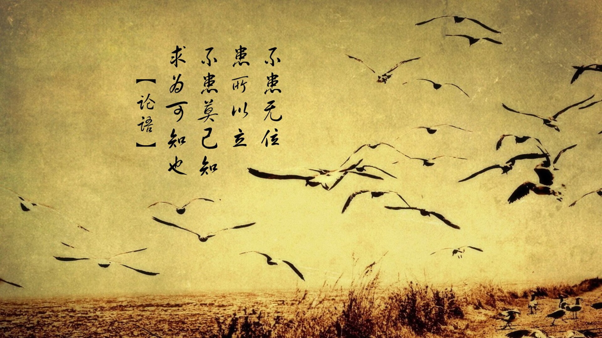 冰与火之歌，新狼王的咆哮与旧王的凝视