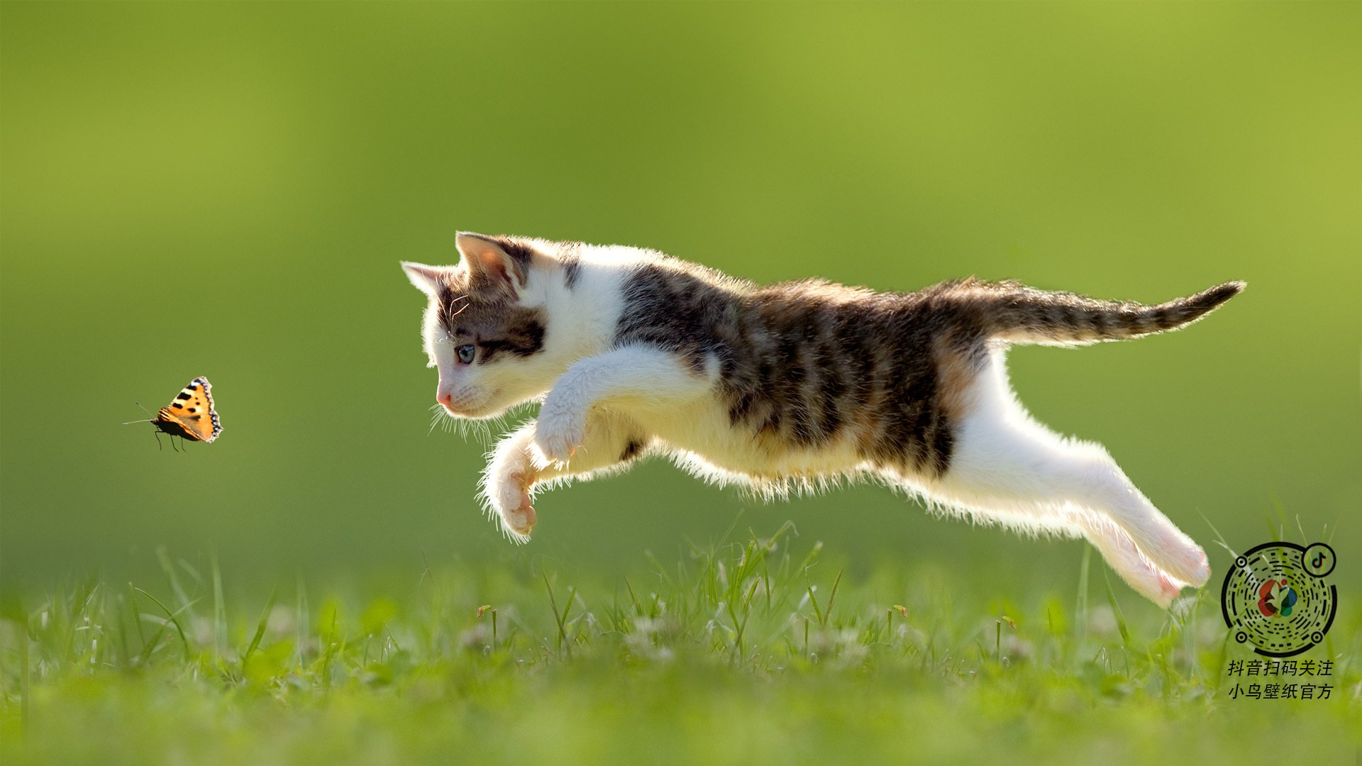 刀刃出鞘,乾坤挪移,伦纳德骤雨狂澜,奇才以韵律枷锁绞杀尼克斯