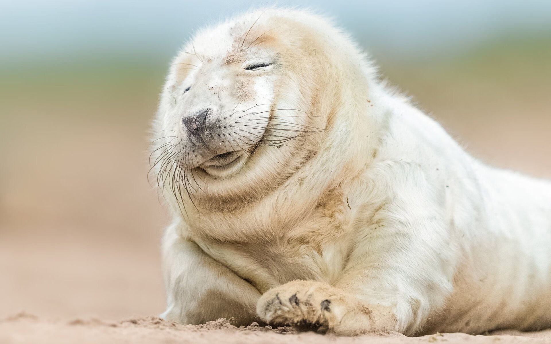 冰封射手解冻时—切特压哨三分凿穿五棵松,魔术加时逆转北京队