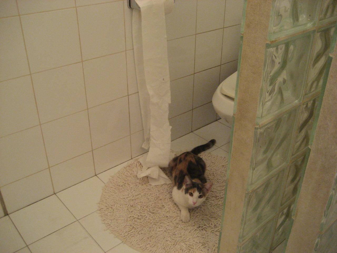 广厦队雷霆之势提前终结悬念,文班亚马稳定输出不掉线