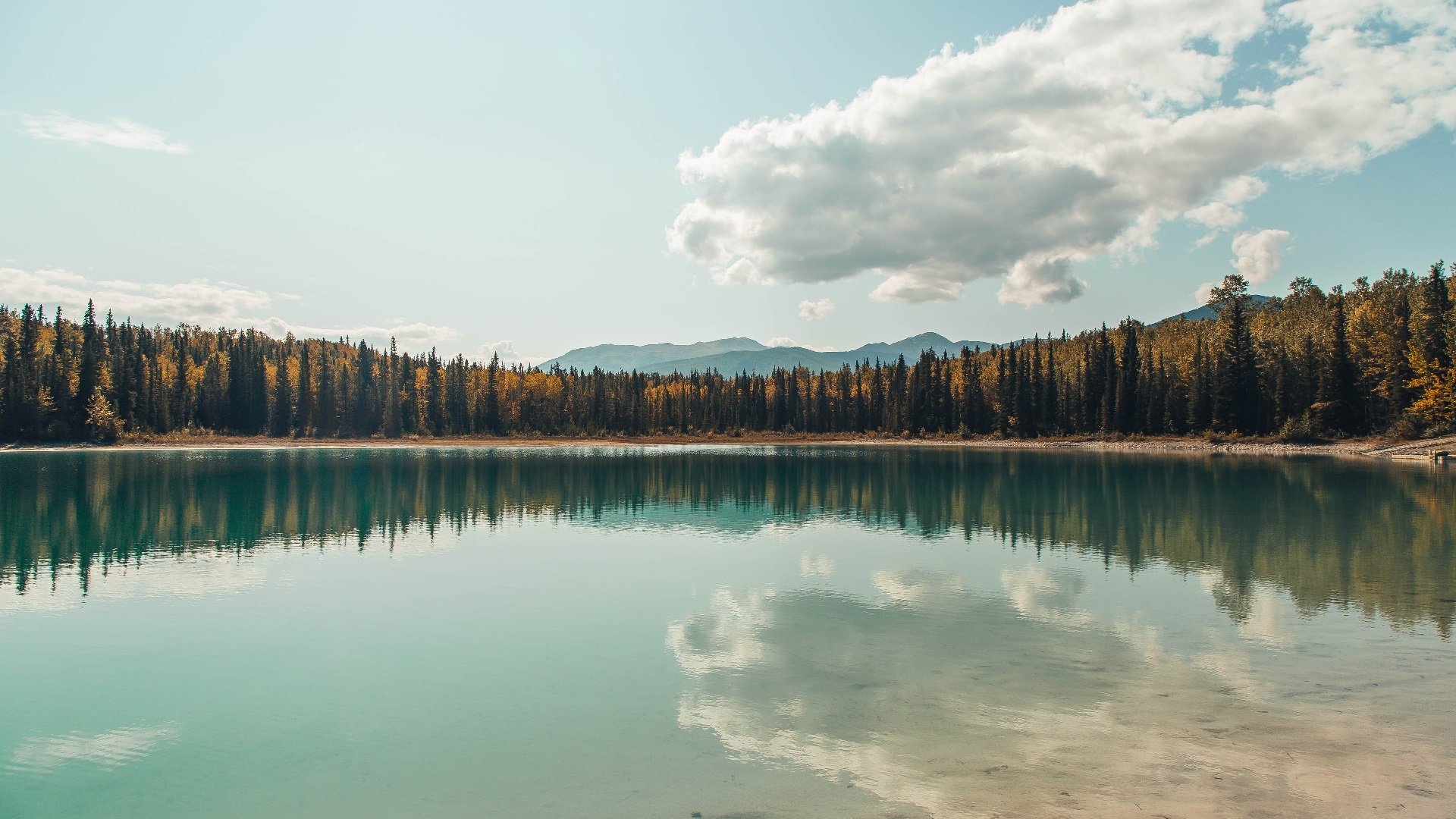 幽灵射手跨越次元壁,当利拉德的手表在CBA与德甲同时响起