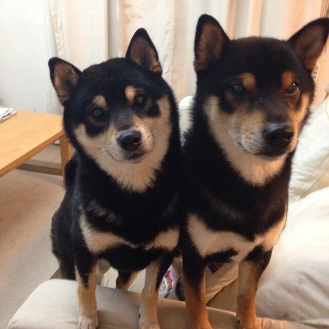 双线狂飙，F1街道赛引擎轰鸣中，英格兰足球险胜多特蒙德