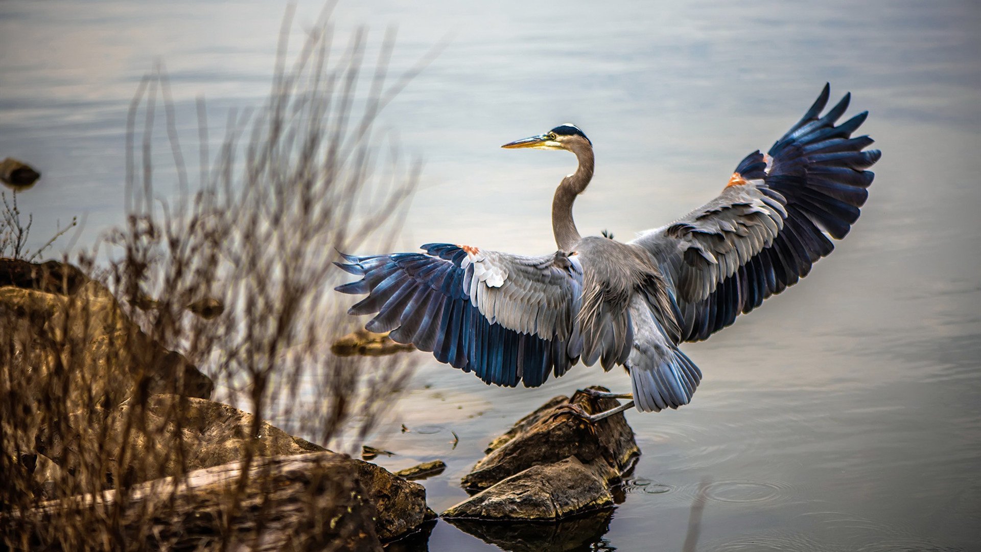 爱游戏大厅-欧文击穿麦迪逊花园，窒息防守+续命三分导演湖人世纪翻盘
