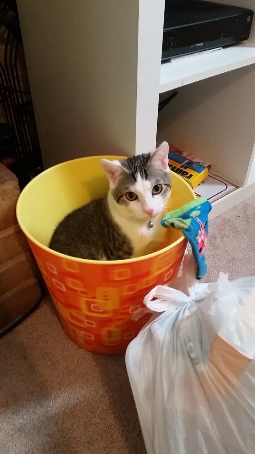 跨界奇迹，广厦队狂胜马刺，德罗赞在NBA总决赛的传奇接管