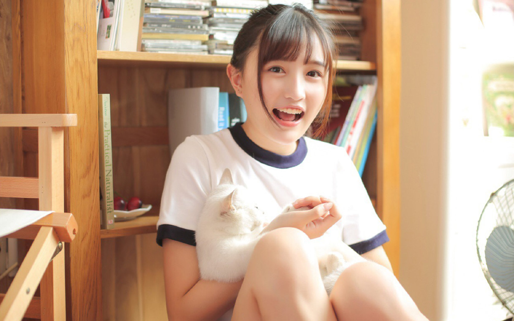 解码印第安纳的围猎艺术，如何解剖贝恩的转换攻略