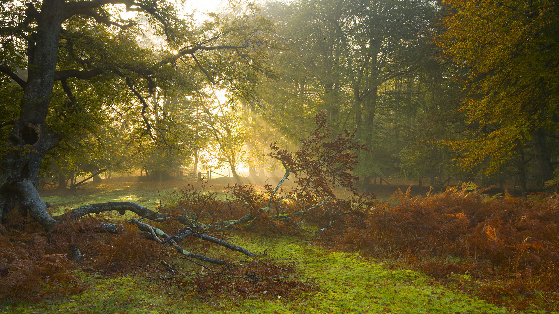 稳稳拿下与生死接管，体育关键时刻的统治力展现