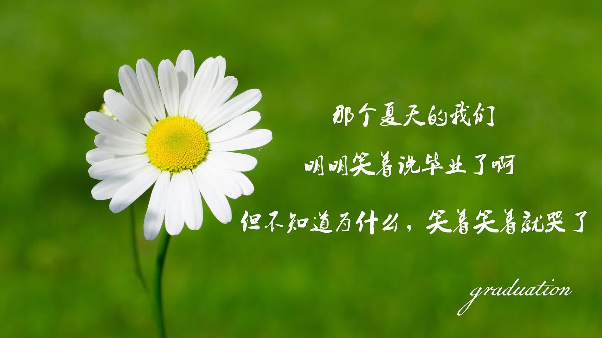 北境之焰，当冰岛在2026世界杯F组撕裂欧洲红魔，萨卡的致命一击书写唯一神迹