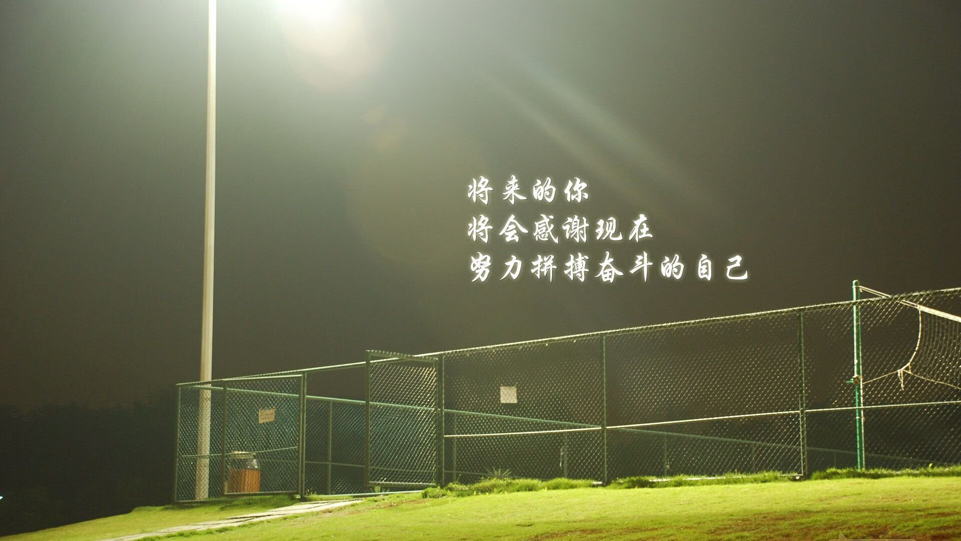 波斯铁骑折戟多哈，巴西3-0压制伊朗，迪亚斯独造三球成H组唯一破局者