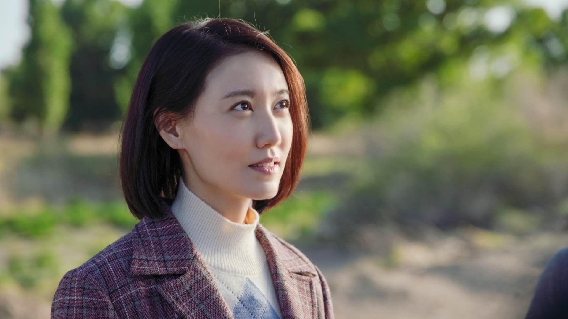德黑兰的铁壁，遇上布鲁塞尔的利刃，2026世界杯H组生死战，卢卡库一剑封喉