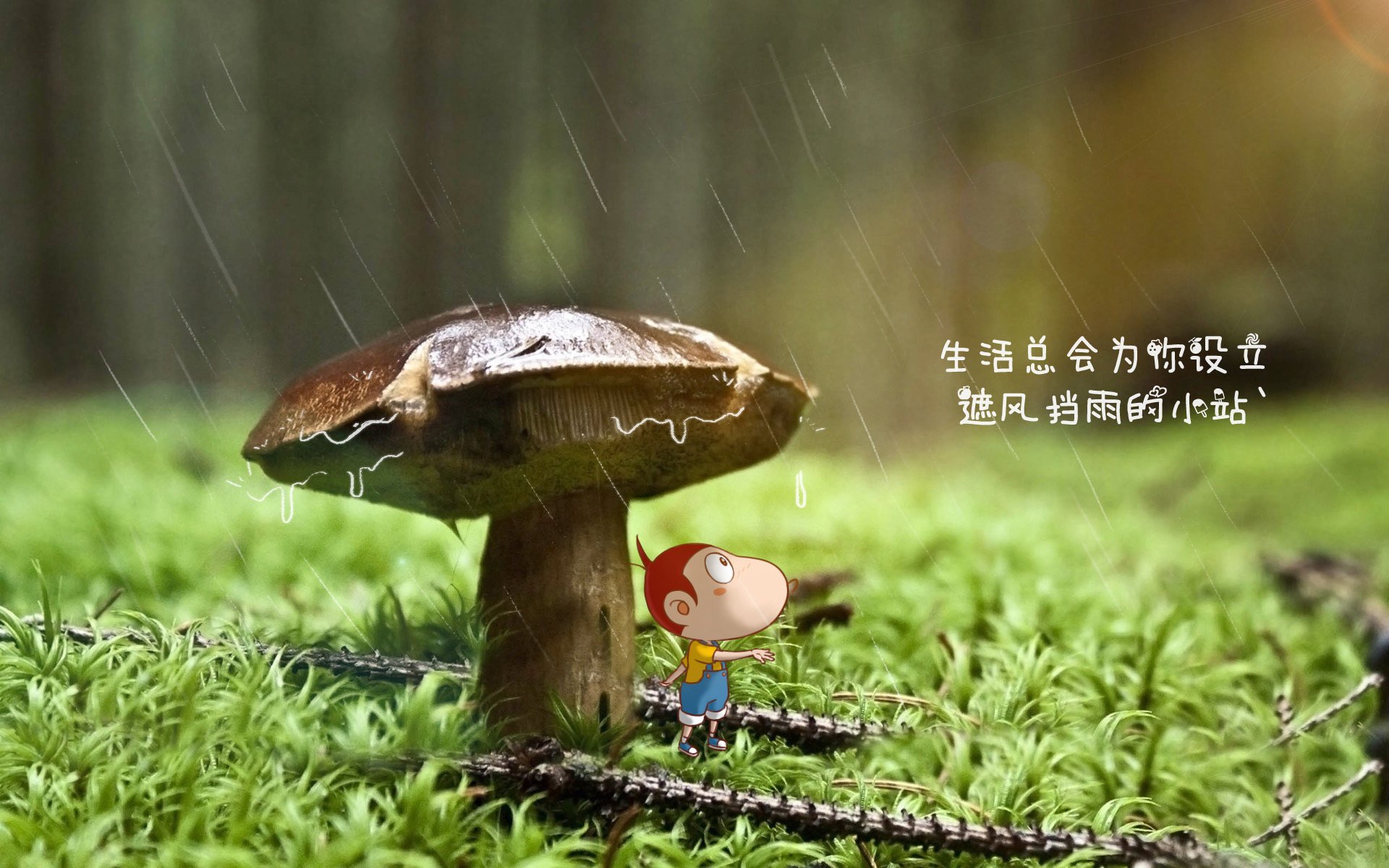 孤光一闪,谁主沉浮?厄瓜多尔绝杀荷兰,D组唯一悬念终解
